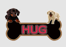 [Hug Dog]